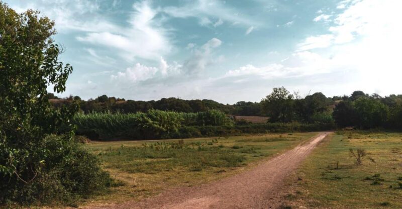 Caffarella Park: Rome's Secret Urban Hiking Paradise - Final Thoughts