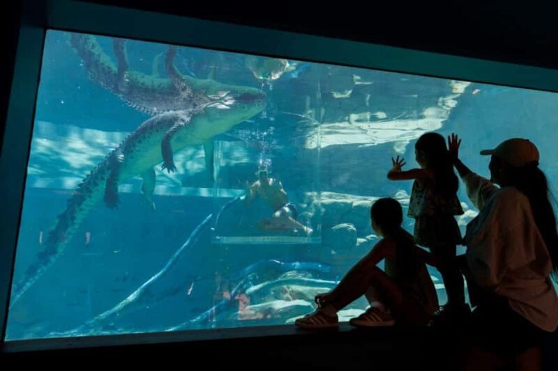 "Cage Of Death" Crocodile Swim and Entry to Crocosaurus Cove - The Cost and Value