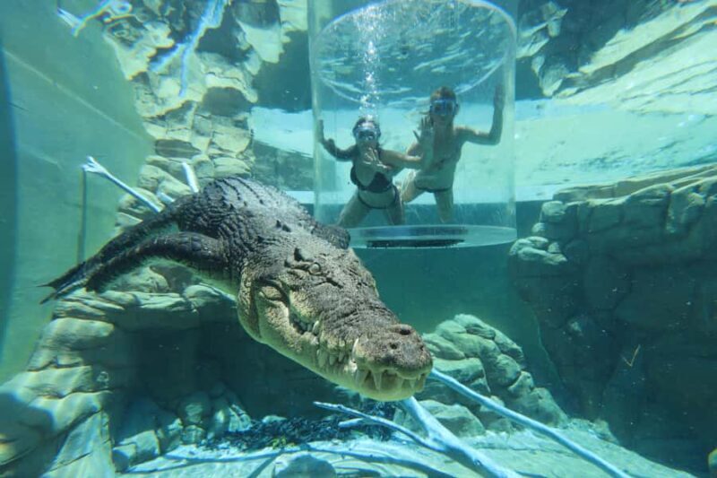 "Cage Of Death" Crocodile Swim and Entry to Crocosaurus Cove - The Overall Atmosphere and Visitor Experience