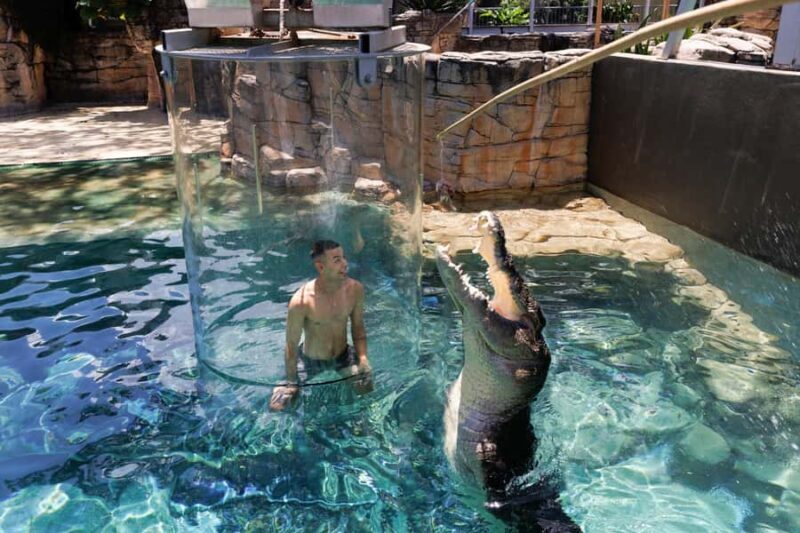 "Cage Of Death" Crocodile Swim and Entry to Crocosaurus Cove - FAQ