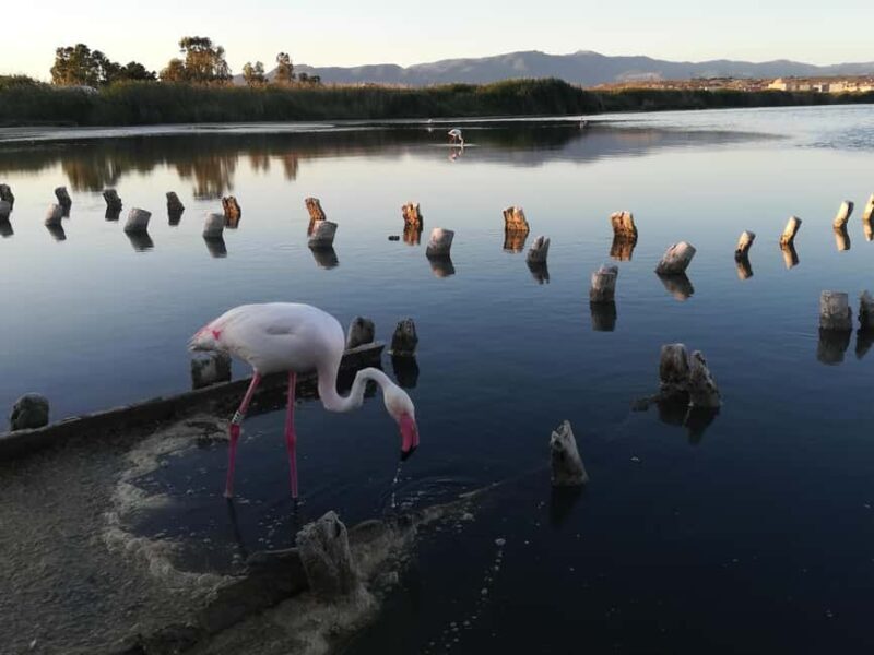 Cagliari: Bike & Hike Tour - The Experience and Guide Quality