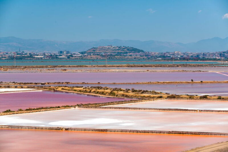 Cagliari: Conti Vecchi Salt Flats Train and Tour - Value and Cost