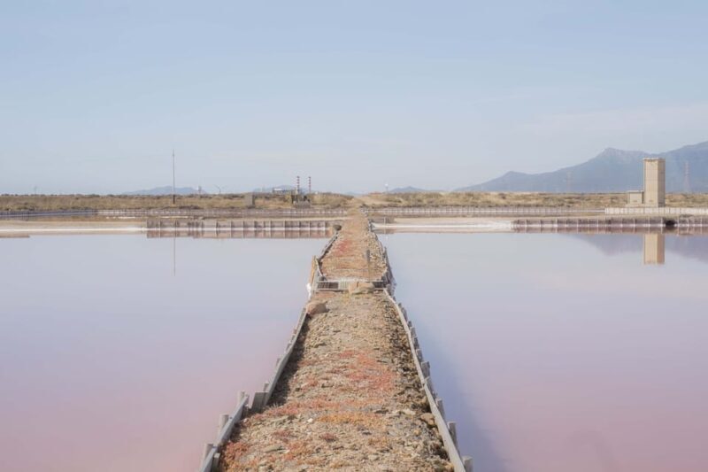 Cagliari: Conti Vecchi Salt Flats Train and Tour - Who Would Love This Tour?