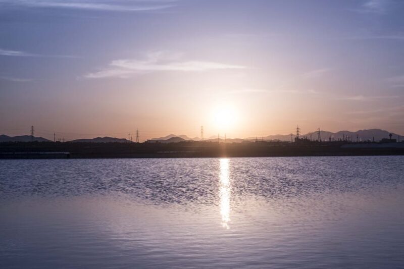 Cagliari: Conti Vecchi Salt Flats Train and Tour - A Closer Look at the Experience