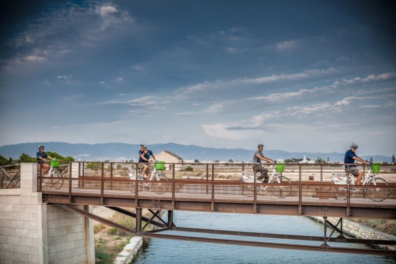 Cagliari E-Bike Tour: Canals & Flamingos at Molentargius - Who Is This Tour Best For?