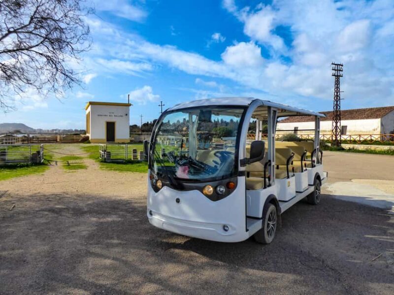 Cagliari: EcoSafari Flamingos Tour in Molentargius Park - An Honest Look at the EcoSafari Flamingos Tour in Molentargius Park