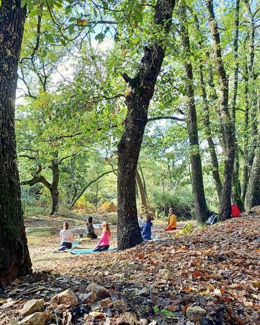 Cagliari: forest bathing at Sette Fratelli Park - Key Points