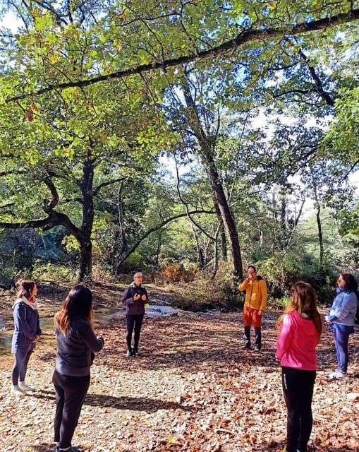 Cagliari: forest bathing at Sette Fratelli Park - An Honest Look at Forest Bathing in Sette Fratelli Park