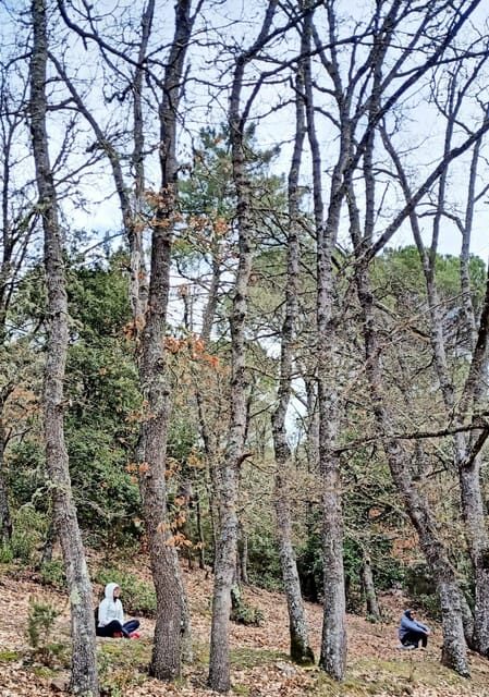 Cagliari: forest bathing at Sette Fratelli Park - FAQs