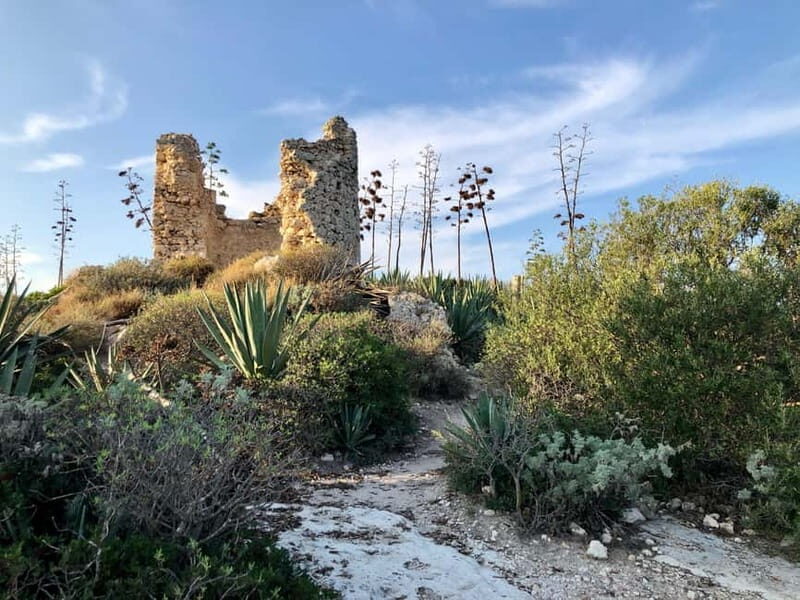 Cagliari: hike to the top of the Devil's Saddle - What the Tour Offers: A Balanced Overview