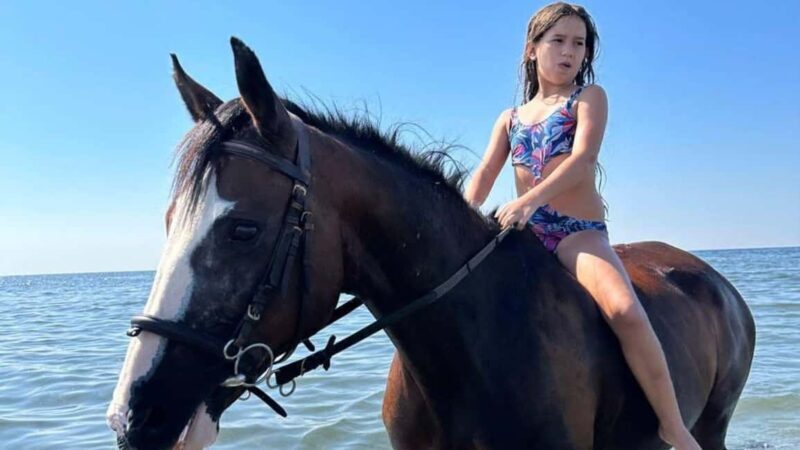 Cagliari: horseback riding with sunrise dive - Key Points