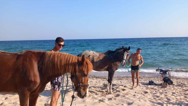 Cagliari: horseback riding with sunrise dive - The Sea Swim: An Exciting Finish