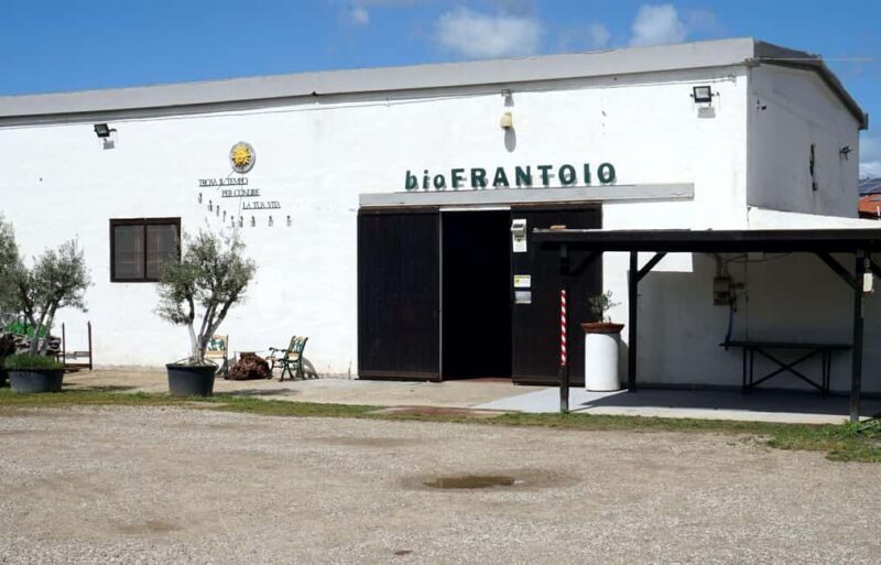 Cagliari Olive Oil Museum: Tours & Tasting a Dolianova - How Does the Price Reflect the Experience?