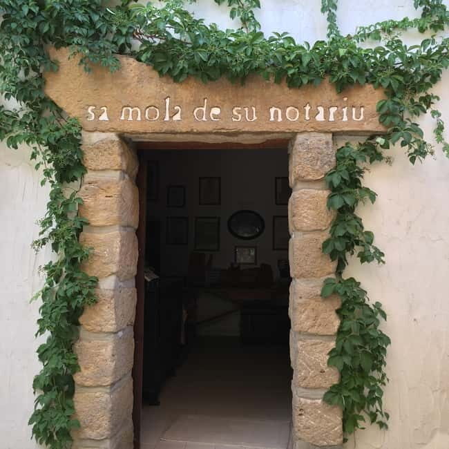 Cagliari Olive Oil Museum: Tours & Tasting a Dolianova - Who Will Love This Tour?