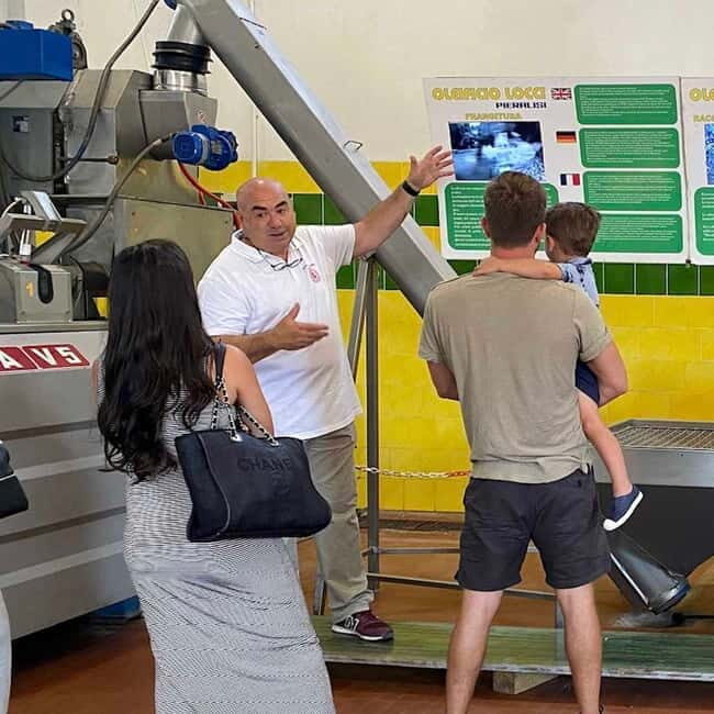 Cagliari Olive Oil Museum: Tours & Tasting a Dolianova - Final Thoughts