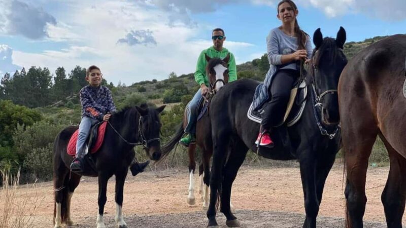 Cagliari: panoramic horseback riding - Key Points