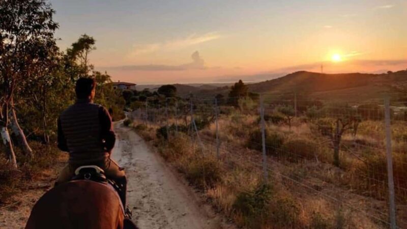 Cagliari: panoramic horseback riding - The Value for Money