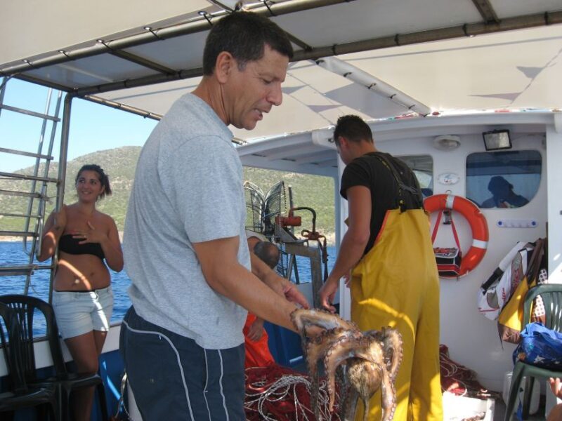 Cagliari: Private or Small Group Fishing Trip Experience - The Journey: From Cape Malfatano to the Southern Coast