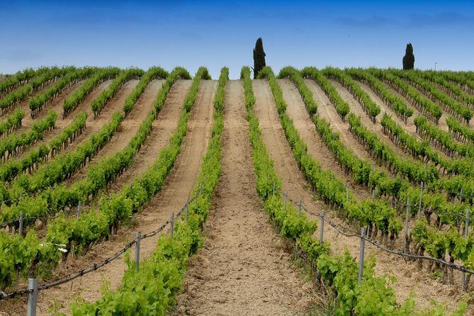 Cagliari Private Shore Excursion: Wine and Cheese Tasting - Key Points