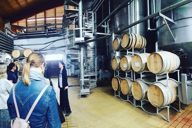 Cagliari Private Shore Excursion: Wine and Cheese Tasting - Exploring the Itinerary in Detail