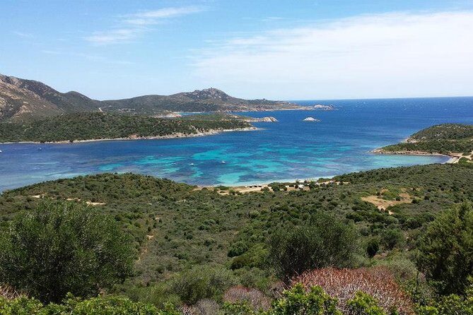 Cagliari: Professional Guided Coasteering Tour from Pinus Village - Pros and Cons: Is It Worth It?