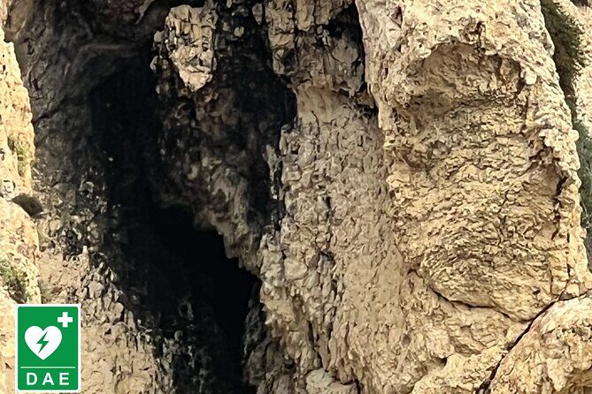 Cagliari: Sailing tour with 4 stops, snorkeling and Prosecco - Who Will Love This Tour?