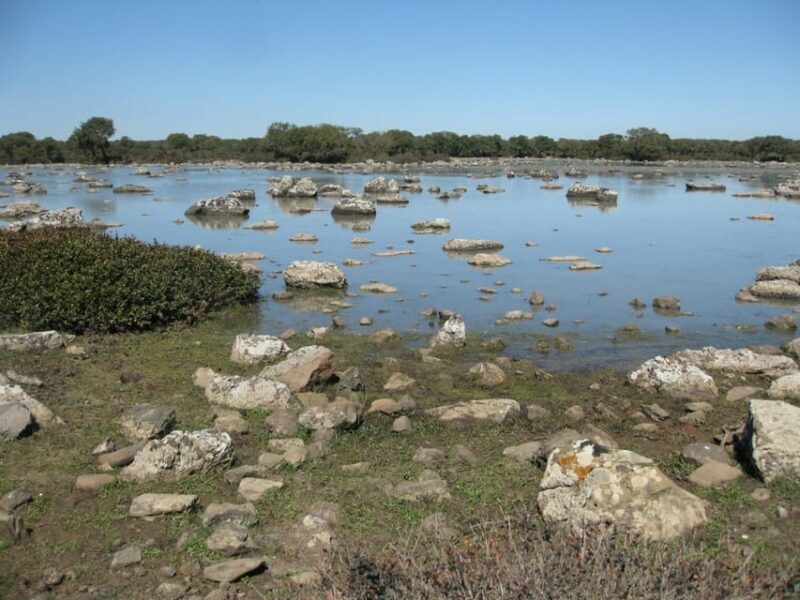 Cagliari: Su Nuraxi Barumini Unesco & Giara Horses 4h Tour - Food and Flexibility