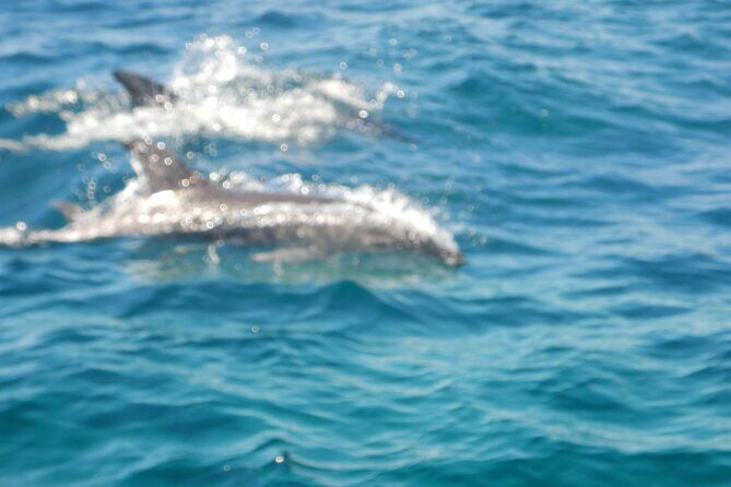 Cagliari: The magic of the Devil's Saddle and its caves - Snorkeling, safety, and amenities