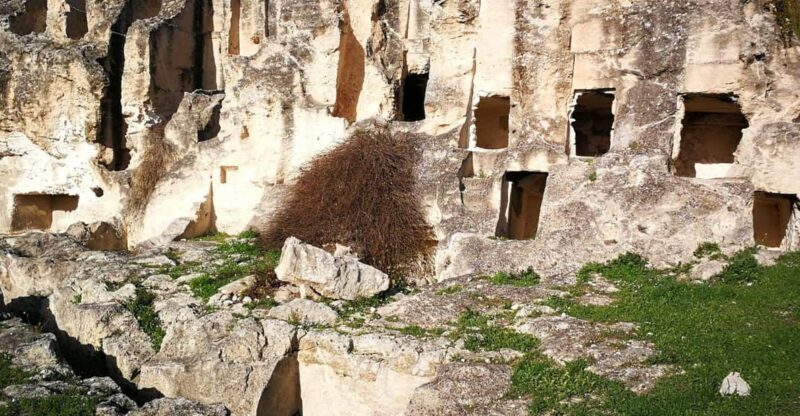 Cagliari Tour: Tuvixeddu Necropolis archeological park - Delving into the Tuvixeddu Necropolis: What to Expect