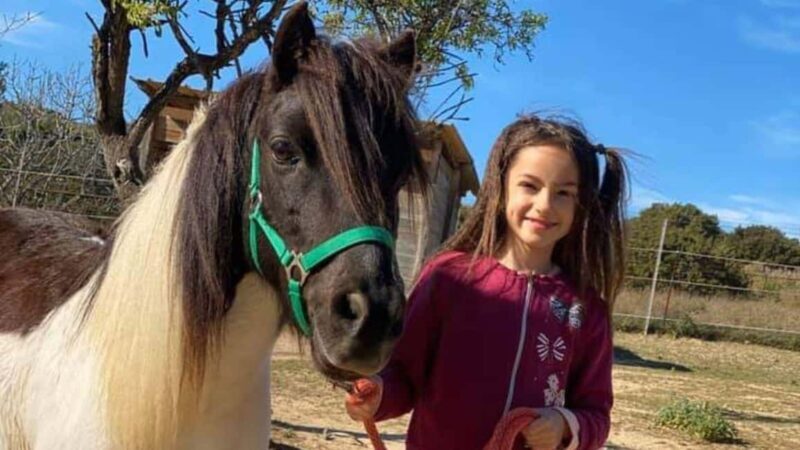 Cagliari: visit the animals of a farm - Key Points