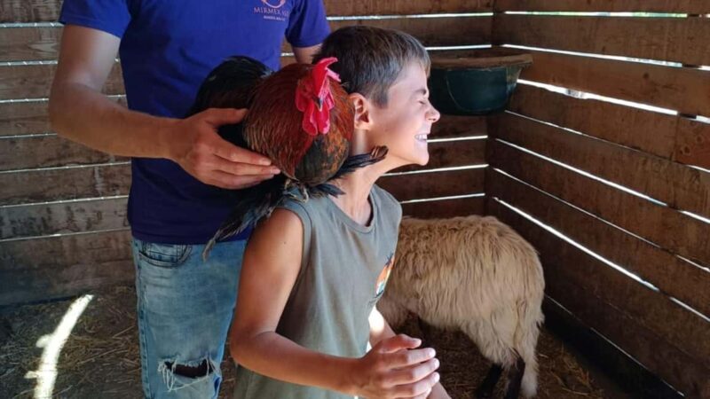 Cagliari: visit the animals of a farm - Practical Details: What’s Included and How to Prepare