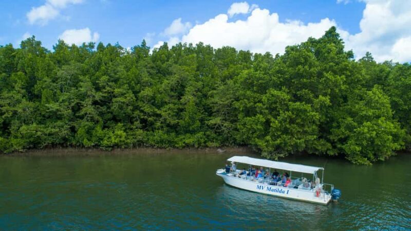 Cairns: 2-Day Great Barrier Reef & Daintree Rainforest Tour - Final Thoughts