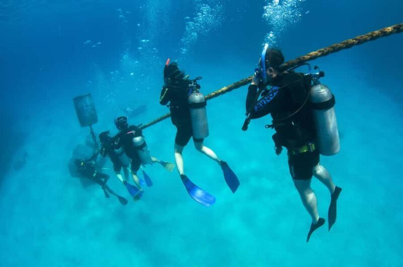 Cairns: 4-Day PADI Open Water Course - Final Thoughts: Who Should Consider This Course?