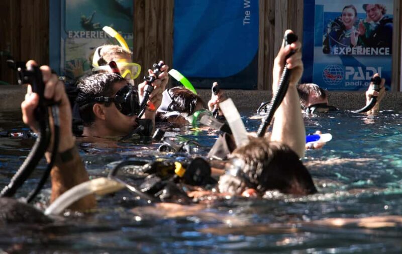 Cairns: 4-Day PADI Open Water Course - Final Words