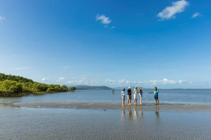 Cairns: Aboriginal Coastal Adventure & Mossman Gorge Tour - Is This Tour Right for You?