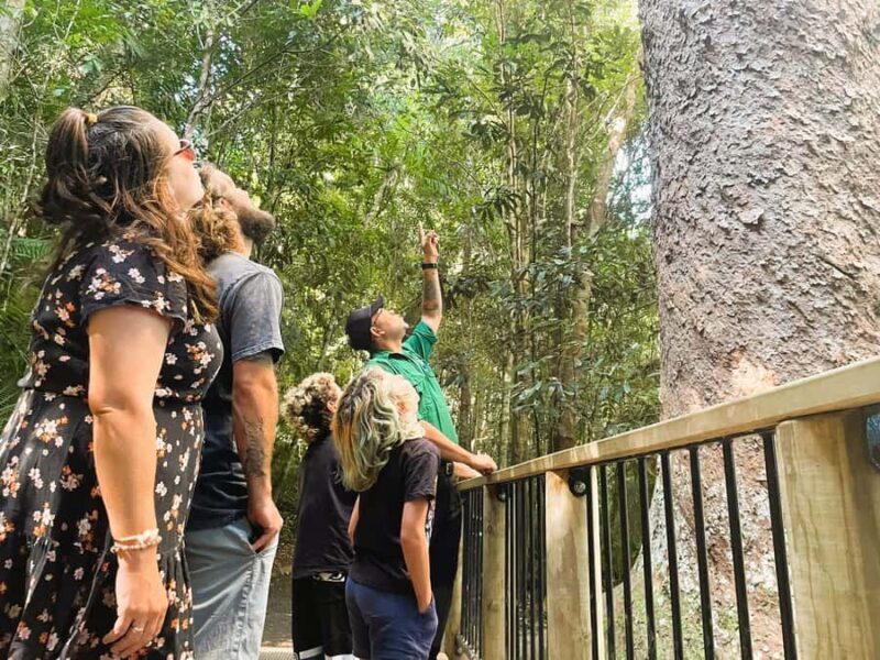 Cairns: Aboriginal Cultural Discovery Tour - Who is This Tour Best For?
