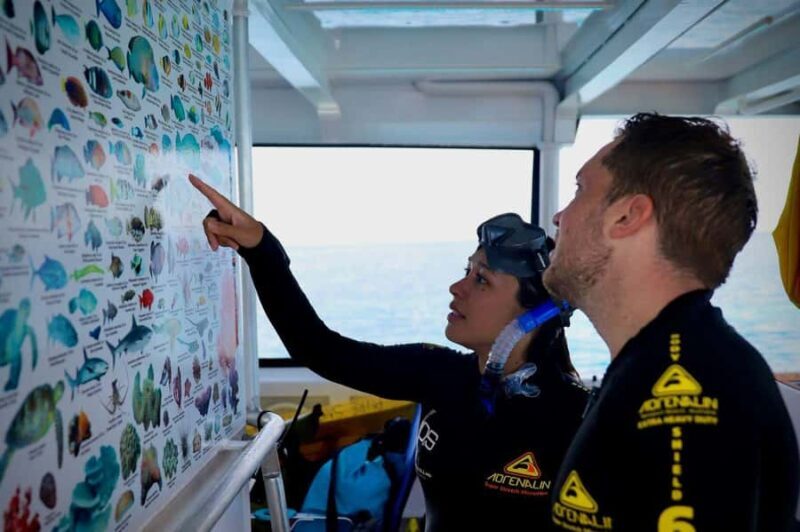 Cairns: All-Inclusive Great Barrier Reef Half-Day Snorkeling - Why You’ll Love This Tour