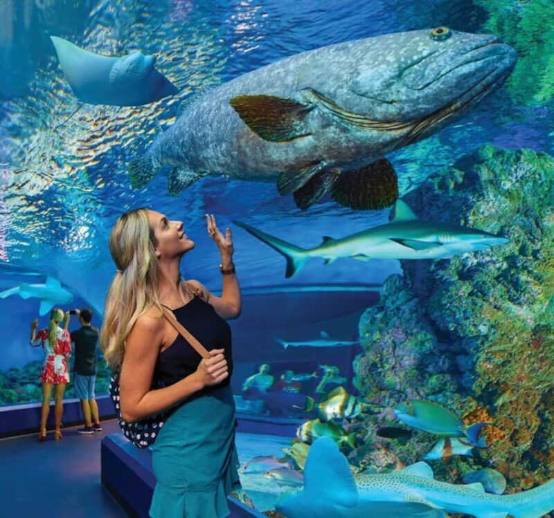 Cairns Aquarium General Admission Ticket - Key Points