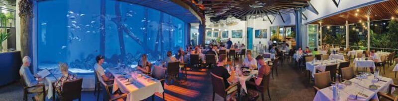 Cairns: Aquarium Guided Twilight Tour with 3-Course Dinner - Practical Considerations