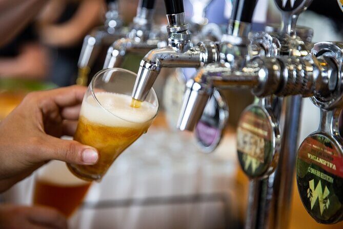 Cairns Brewery Tours - What Makes this Tour Stand Out?