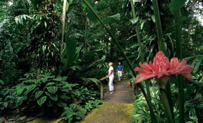 Cairns: Cairns City Sights & Surrounds Half Day Tour - The Value Proposition