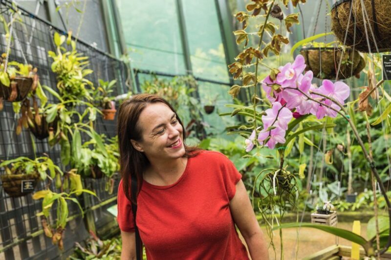 Cairns: Cairns City Sights & Surrounds Half Day Tour - FAQ