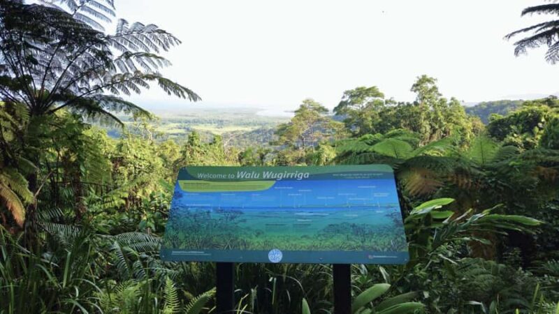 Cairns: Cape Tribulation, Mossman Gorge & Daintree Day Tour - Key Points