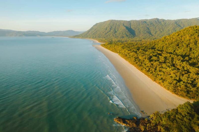 Cairns: Cape Tribulation, Mossman Gorge & Daintree Day Tour - The Itinerary Breakdown