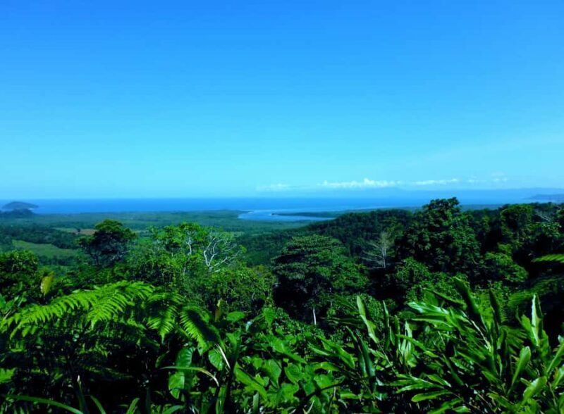 Cairns: Cape Tribulation, Mossman Gorge & Daintree Day Tour - Guides & Overall Value