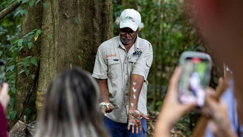 Cairns: Daintree Rainforest and Mossman Gorge Tour - What Makes This Tour Stand Out?