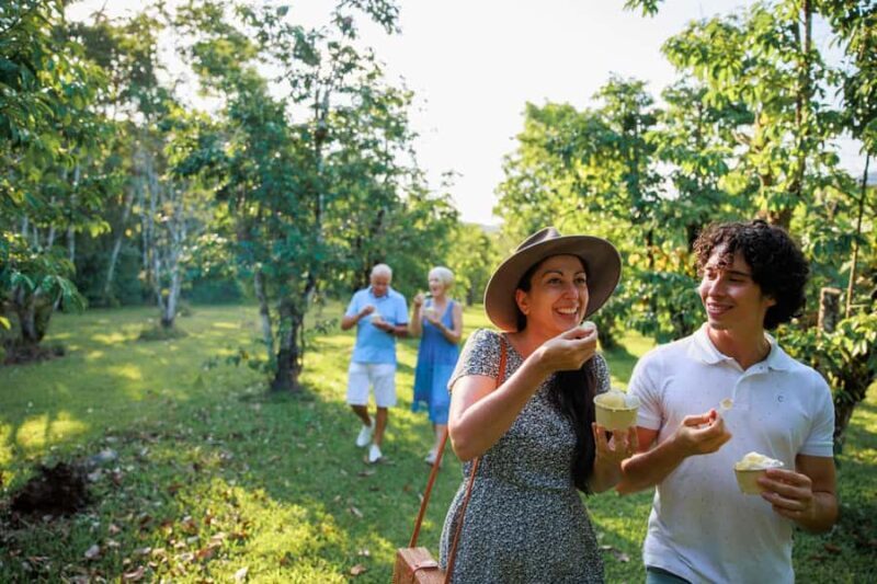 Cairns: Daintree Rainforest & Cape Tribulation Day Trip - A Closer Look at the Itinerary and What You Can Expect