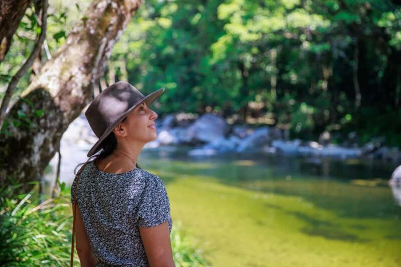 Cairns: Daintree Rainforest & Cape Tribulation Day Trip - Real Traveler Insights & Tips