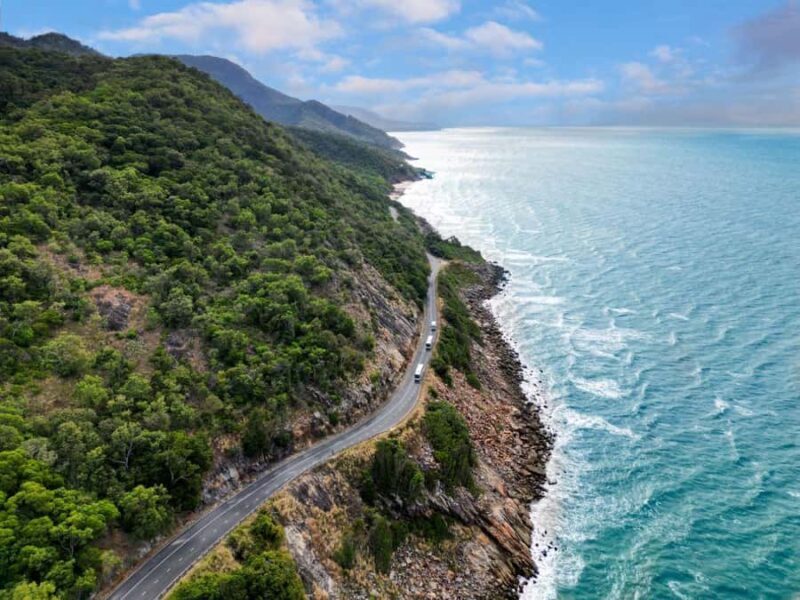 Cairns: Daintree Rainforest & Cape Tribulation Day Trip - Who Is This Tour Best Suited For?