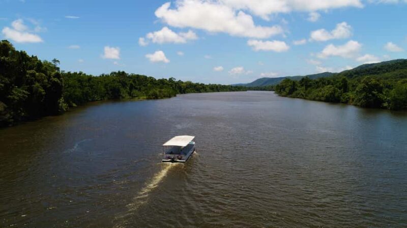 Cairns: Daintree Rainforest Wildlife Experience Cruise - Pricing and Value